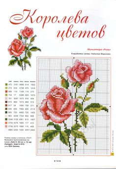 róża haft krzyżykowy wzór-za darmo-2